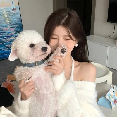 闪电狗